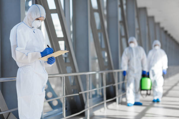 Best Black Mold Removal  in Millbrook, NY