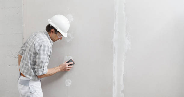 Best Mold Damage Restoration  in Millbrook, NY