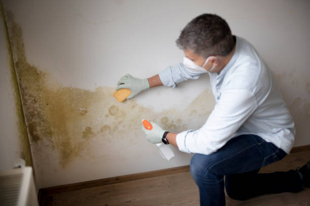Best Indoor Air Quality Assessment  in Millbrook, NY