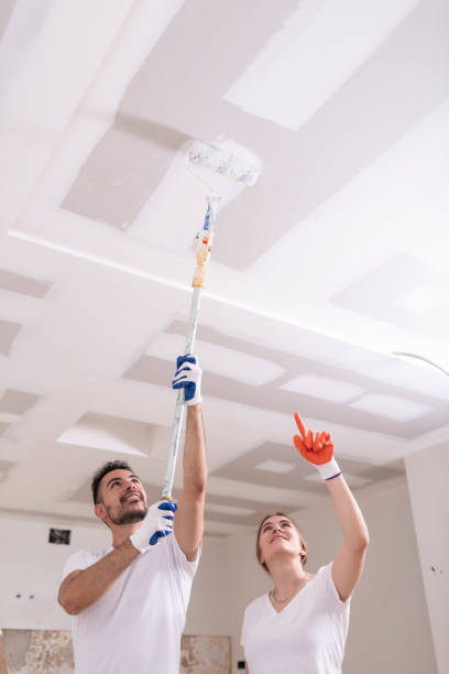 Best Water Damage & Mold Remediation  in Millbrook, NY