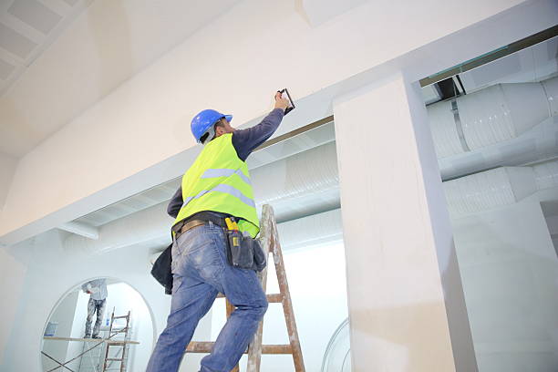 Best Basement Mold Removal  in Millbrook, NY
